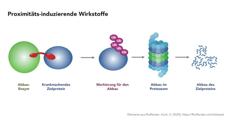 Grafik veranschaulicht Funktionsweise proxitimitäts-induzierender Wirkstoffe.