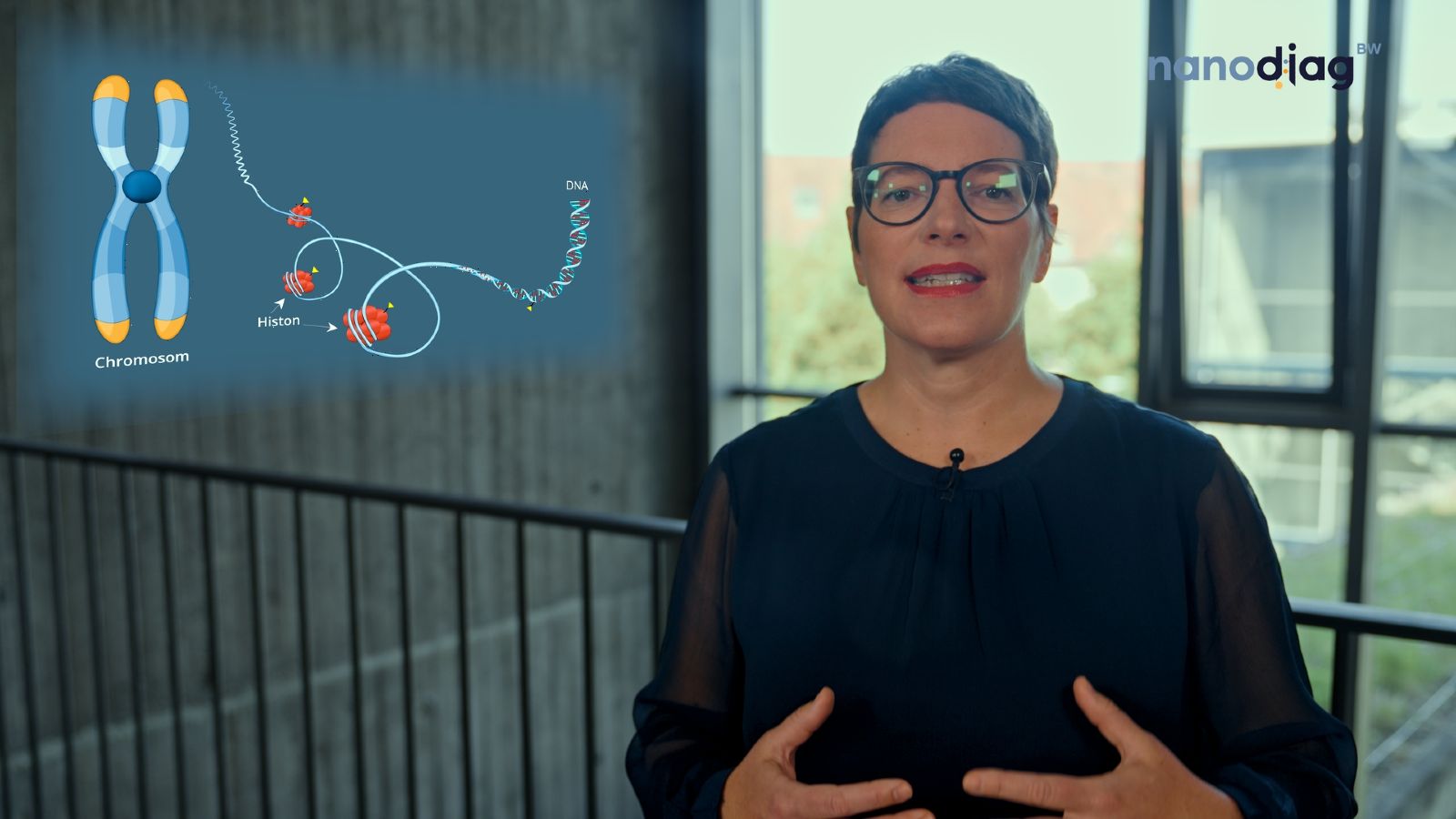 Standbild aus dem Video